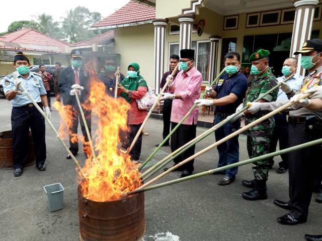 img-berita