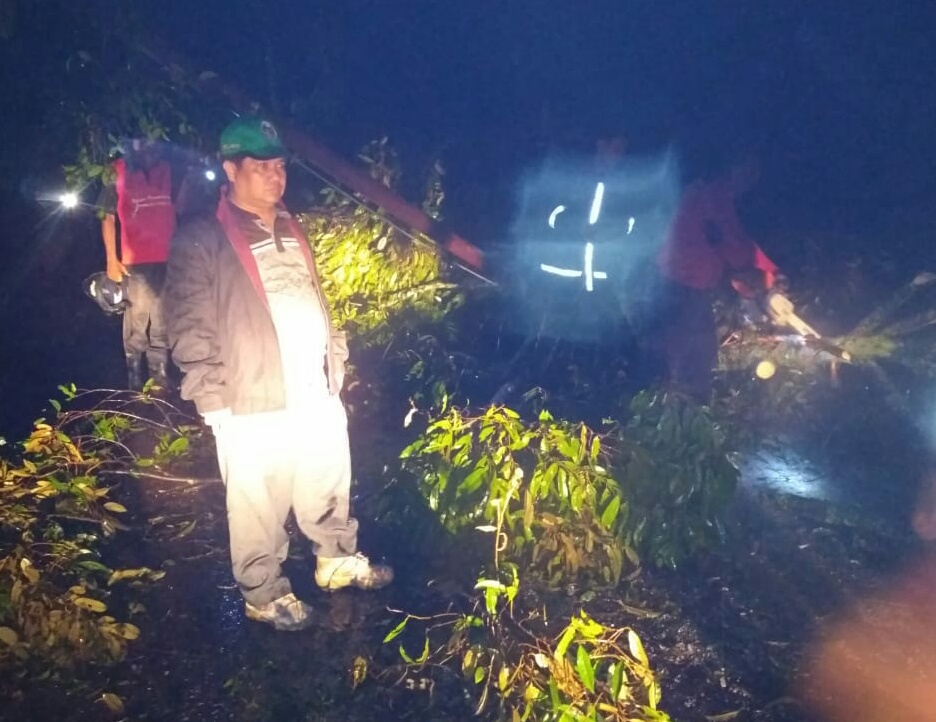 img-berita