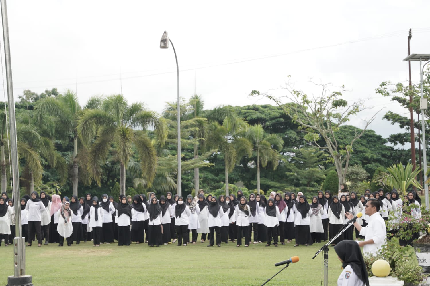 img-berita